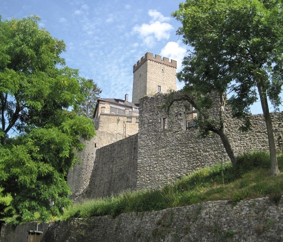 Kerpen Castle with a high tower and stone walls, surrounded by green trees under a blue sky., © Touristik GmbH Gerolsteiner Land, Ute Klinkhammer