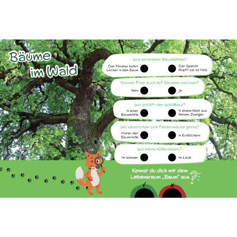 Groot quizbord over "Bomen in het bos" met of/of-vragen.