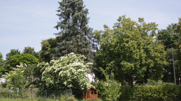 Ein Garten mit grünen Bäumen und einem Holzhaus. Im Vordergrund blühen Sträucher und der Himmel ist blau.