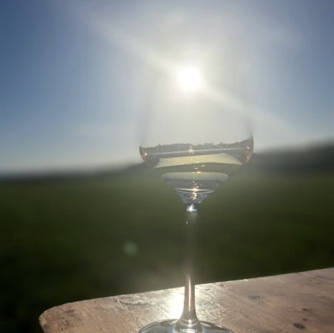 Weinwanderung, © Familie Deren