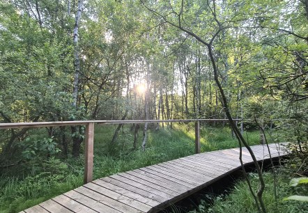 Moorpfad Ormont, &copy; Touristik GmbH Gerolsteiner Land -Leonie Post