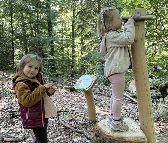 Zwei Kinder im Wald, eines schaut durch ein Holzfernrohr, das andere steht daneben. Ein Schild mit Fuchs-Illustration ist sichtbar., © Touristik GmbH Gerolsteiner Land