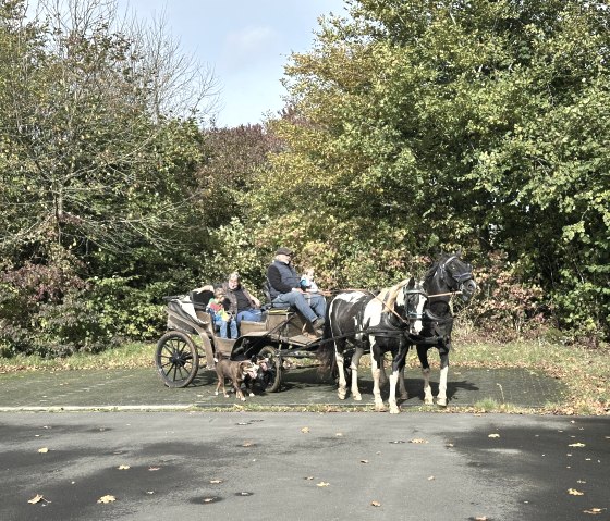 Kutsche, &copy; Heinz Schend