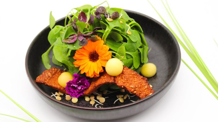 Une assiette joliment décorée avec de la salade, des herbes fraîches et des fleurs comestibles. Y sont ajoutés des morceaux croustillants et des billes de melon.