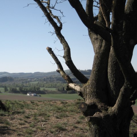 wandelpad-lb4-9