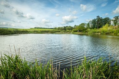 Blau-glitzernde Wasseroberfläche des Eichholzmaars umgeben von einer grünen Landschaft. 