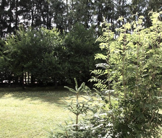 Eifel Relax., &copy; Ferienwohnung Eifel/Relax Frau Walla