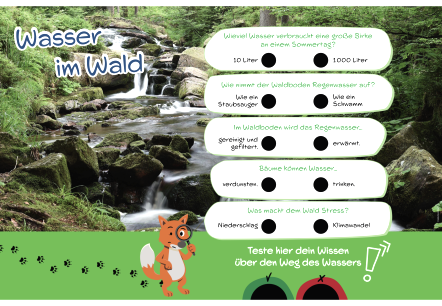 Informatiebord &ldquo;Water in het bos&rdquo; met quiz over waterkennis door middel van invulvragen met meerkeuzevragen.