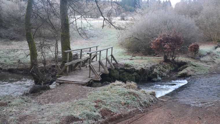 Een rustige landschap met een klein houten brug over een heldere beek. De omgeving is koud en omgeven door bomen en struiken.