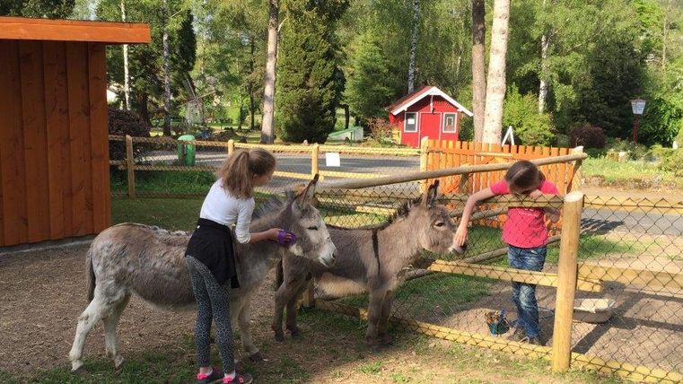Zwei Kinder füttern Esel in einem kleinen Bauernhof. Im Hintergrund sind Bäume und ein rotes Ferienhaus zu sehen.