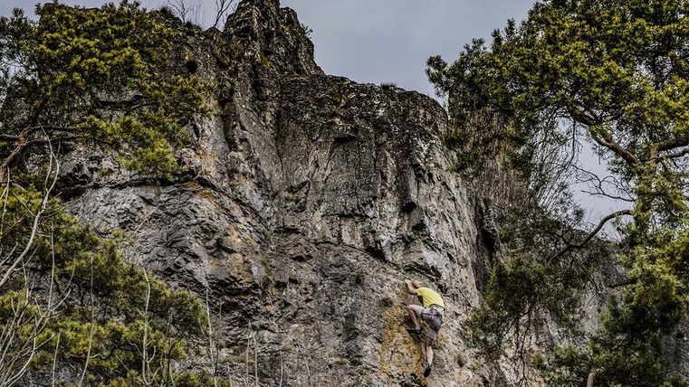 Ein Kletterer in gelbem Shirt klettert an einer steilen Felswand, umgeben von Bäumen.