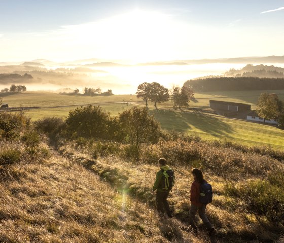 Hiking into the sunrise on the Eifelsteig, Rother Kopf, © Eifel Tourismus GmbH, Dominik Ketz