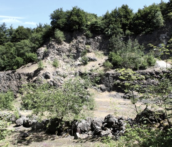 Arensberg Formation, © © Thomas Regnery
