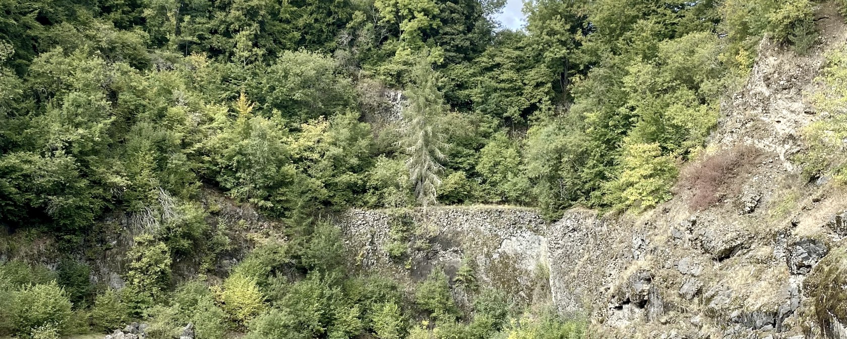 Green quarry with lush vegetation and rock faces under blue skies. The ground is covered with grass and stones., &copy; Touristik GmbH Gerolsteiner Land