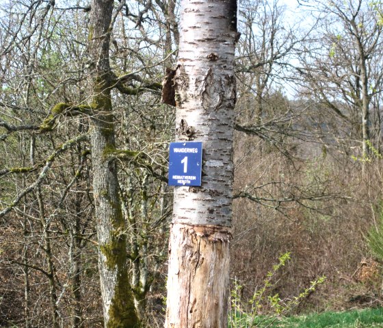Een boom in het bos draagt een blauw bord met de inscriptie "Wanderweg 1 Heimatverein Neroth"., &copy; Touristik GmbH Gerolsteiner Land, Ute Klinkhammer