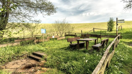 Picknickplatz am Steffelner Drees, © Eifel Tourismus GmbH, Dominik Ketz