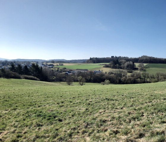 Weitl&auml;ufige und h&uuml;gelige Wiesenlandschaft bei Oberbettingen mit Blick auf einige Wohngeb&auml;ude.