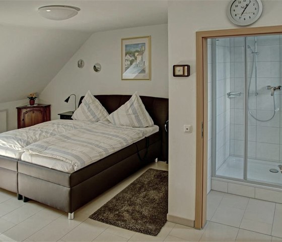 Ger&auml;umiges G&auml;stezimmer mit Bad