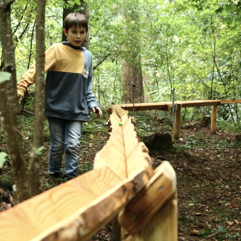 Ein Junge läuft neben einer Holzbahn, auf der eine bunte Kugel rollt, durch einen Wald.