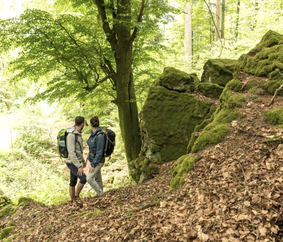 gerolstein_roth_volcano_path_muehlsteinhoehle-et-dominik-ketz-463