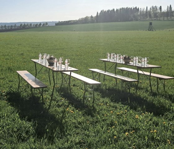 Picknick Wein, © Familie Deren