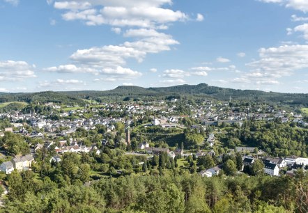 Blick über die Stadt Gerolstein mit zahlreichen Gebäuden, umgeben von grünen Bäumen und Bergen im Hintergrund.