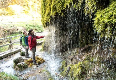 Twee personen kijken naar de met mos bedekte waterval in het groene boslandschap. Een houten brug loopt over de beek.