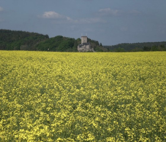 Burg Kerpen im Sommer, © Ferienhof an der Lay-Elisabeth Schröder