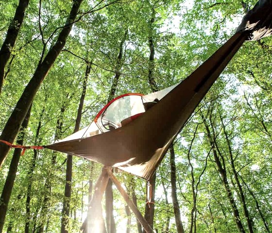 Eifel Adventures Baumzelt (2), &copy; EifelAdventures, Saxler