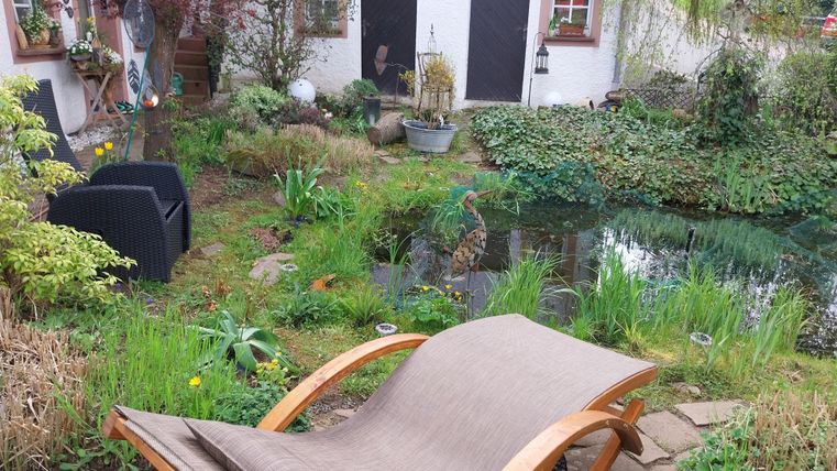 Een gezellige tuin met een vijver en veel groene beplanting. Een houten ligstoel nodigt uit om te ontspannen.