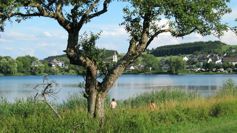 Ein malerischer See umgeben von Bäumen und hohem Gras. Im Hintergrund sind einige Häuser und ein Kirchturm sichtbar.