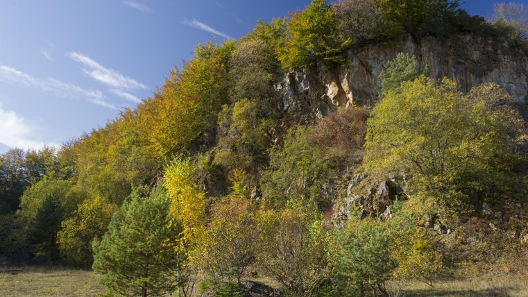 Un rocher pittoresque avec des arbres et un feuillage coloré. Le ciel est clair et bleu, ce qui met en valeur la beauté naturelle.