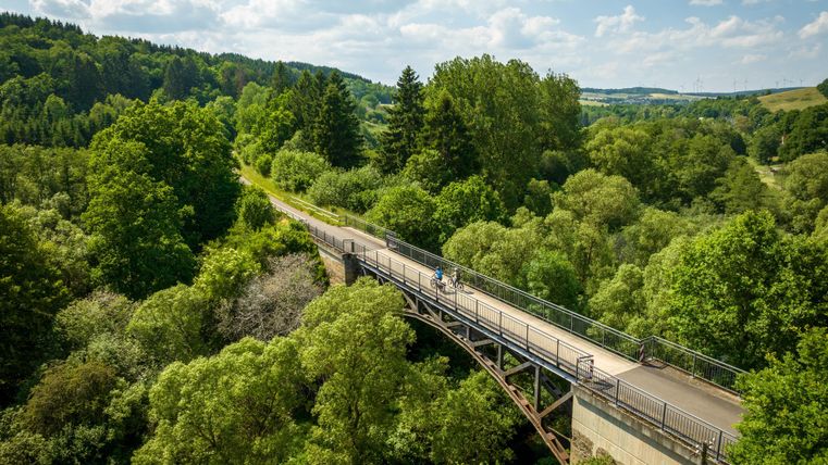 Waldlandschaft mit einem Radweg mittendrin, welcher über eine Brück über die Bäume hinweg führt.