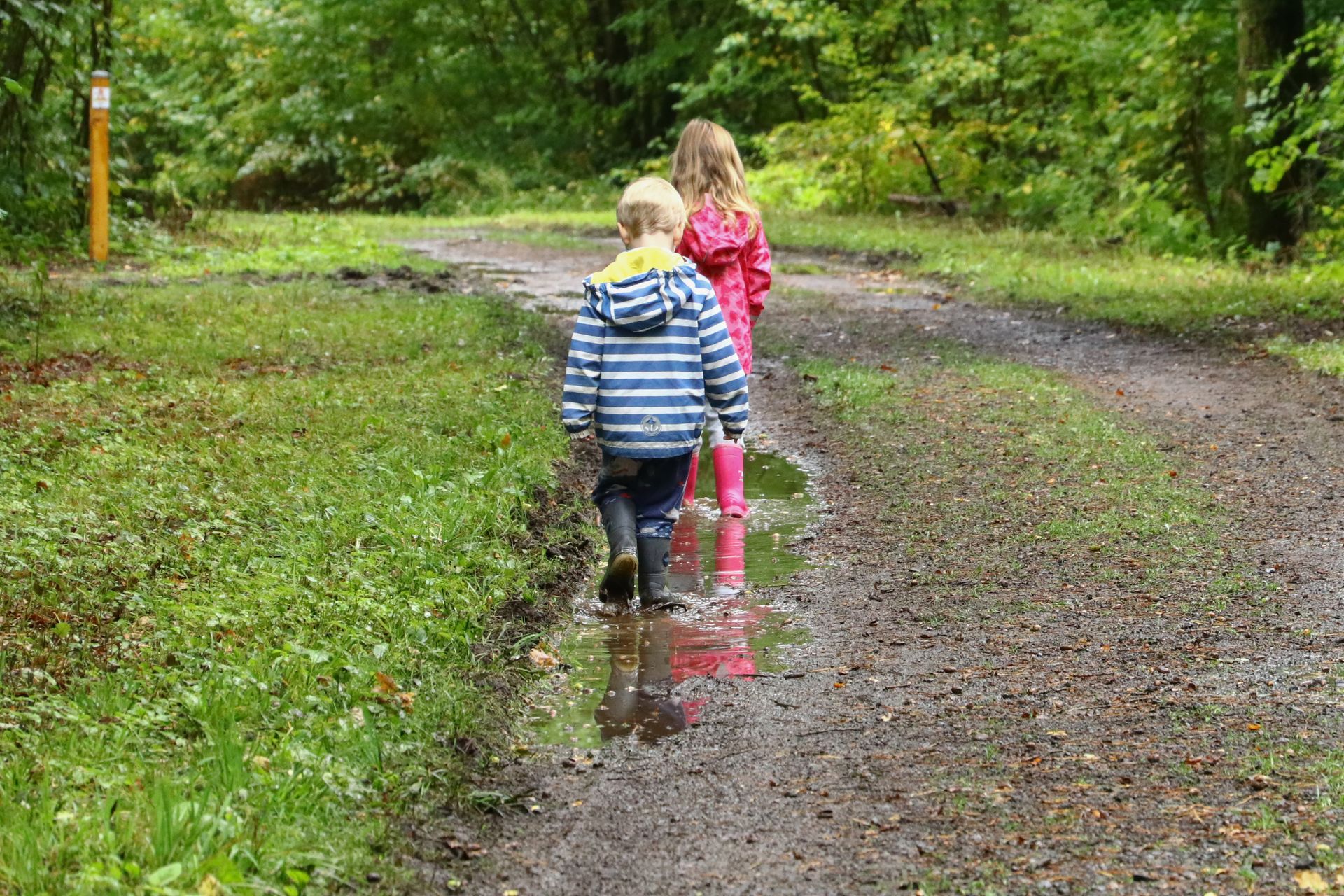 Kinder in Regenjacke und Gummistiefeln laufen durch eine Pfütze im Wald.