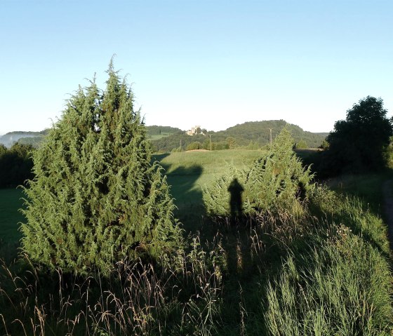 Mein Freund der Baum, &copy; Johannes Munkler