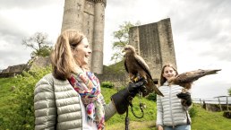 Greifvögel ganz nah, Adler- und Wolfspark, © Eifel Tourismus GmbH, Dominik Ketz