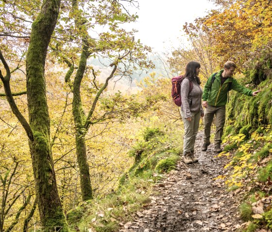 Narrow rocky paths on Eifelsteig stage 12, © Eifel Tourismus GmbH, D. Ketz