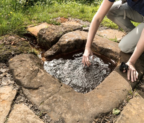 Eine Person füllt Wasser aus einer natürlichen Quelle in ein Glas. Die Quelle ist von Steinen umgeben und liegt in einer grünen Umgebung., © Eifel Touristik Gmbh by Dominik ketz