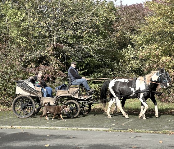 Unterwegs mit der Kutsche, &copy; Heinz Schend
