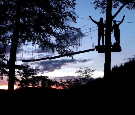 Ziplining by Night, © EifelAdventures Berlingen