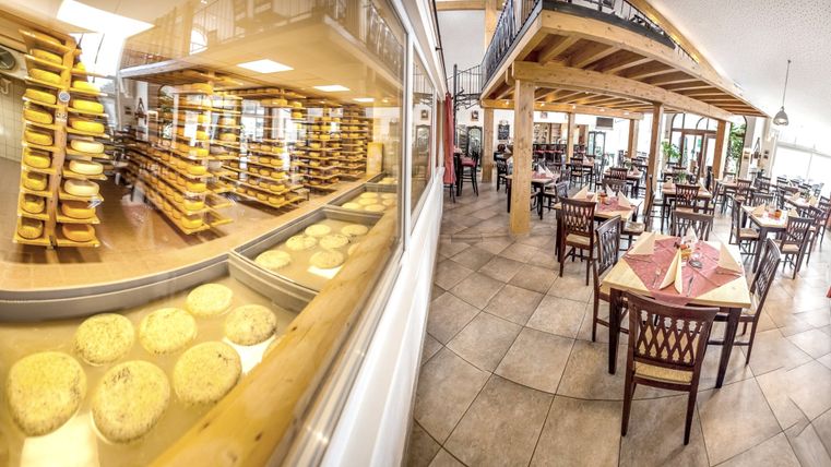 Eine große Glasfront, hinter der in Regalen und Becken zahlreichen Käselaibe reifen. Auf der anderen Seite ein Restaurant. 