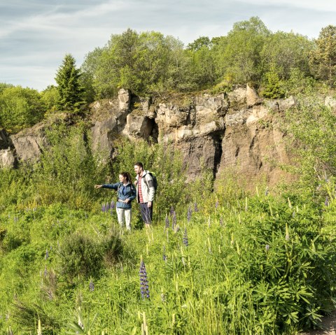 Zwei Wanderer stehen vor der felsigen Vulkanwand, umgeben von grüner Vegetation und blühenden Pflanzen., © Eifel Tourismus GmbH, Dominik Ketz