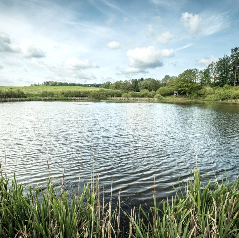 Vulcanpfad, Eichholzmaar, © Eifel Tourismus GmbH, Dominik Ketz