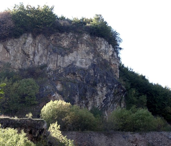 Weinberg (1), &copy; Schmitz