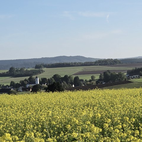 Een uitgestrekt koolzaadveld strekt zich uit voor een dorp, omringd door groene heuvels en windturbines onder een heldere hemel., &copy; Touristik GmbH Gerolsteiner Land