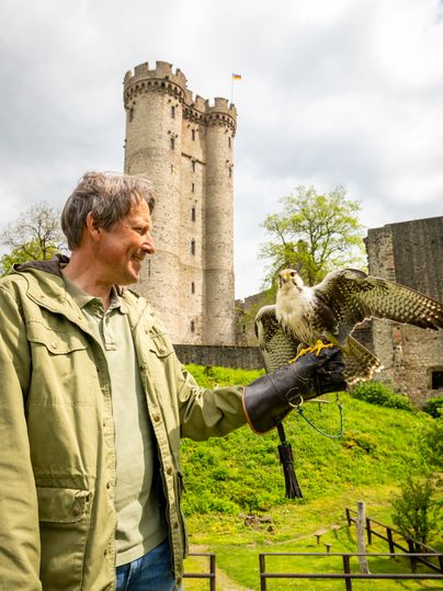 Ein Mann trägt auf einem Falknerhandschuh einen Greifvogel vor der Kulisse einer großen Burganlage.