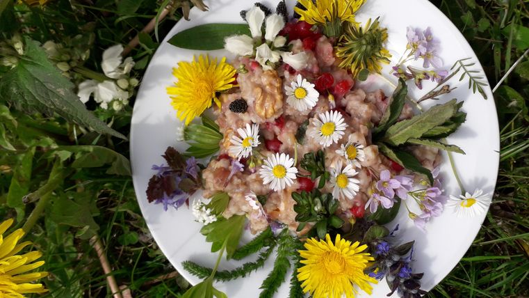 Colorfully mixed plate with various flowers and herbs on it