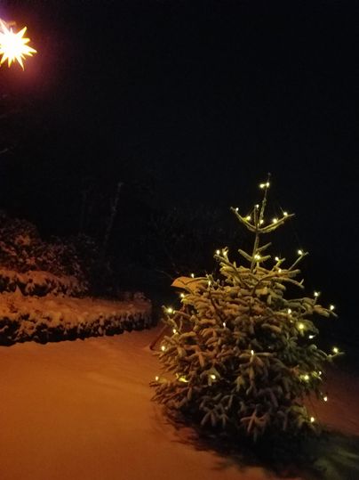 Ein kleiner, beleuchteter Weihnachtsbaum steht im Schnee. Im Hintergrund sind flimmernde Lichter und eine sternenförmige Dekoration sichtbar.