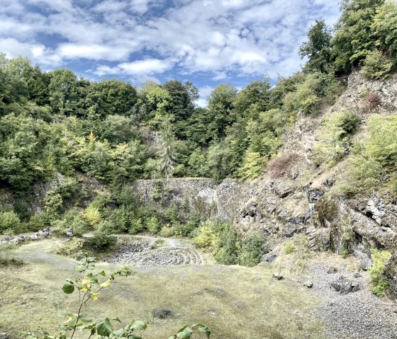 Gr&uuml;ner Steinbruch mit &uuml;ppiger Vegetation und Felsw&auml;nden unter blauem Himmel. Der Boden ist mit Gras und Steinen bedeckt., &copy; Touristik GmbH Gerolsteiner Land