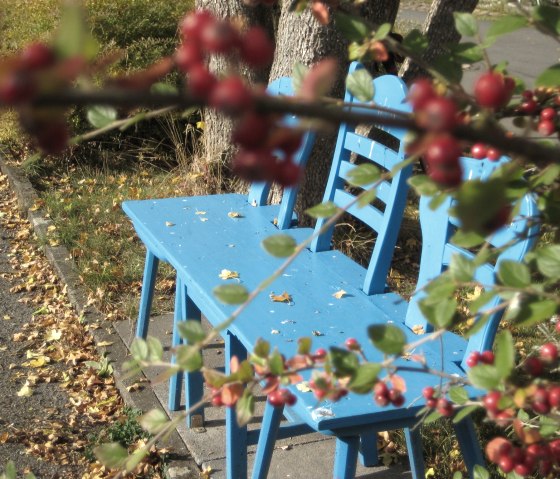 Blue wooden bench outdoors, partly covered by red berries and leaves. Autumn leaves on the ground and the bench., © Touristik GmbH Gerolsteiner Land, Ute Klinkhammer